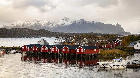 Svinøya 水边红色渔屋、晾鱼架及远山